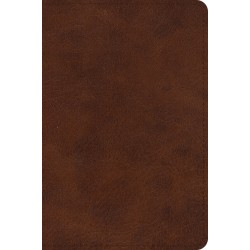 ESV Large Print Bible-Deep...