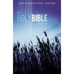 NIV Outreach Bible/Large...