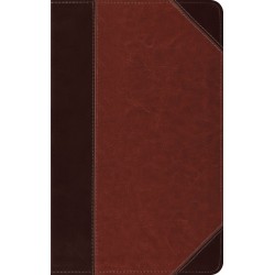 ESV Thinline...