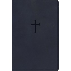 KJV Everyday Study...