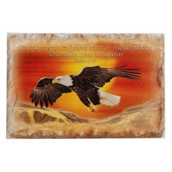 Span-Desktop-On Eagles...