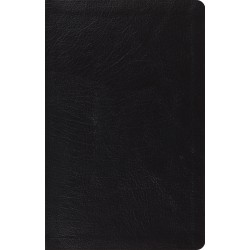 ESV Large Print Thinline...