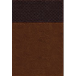 NIV Study Bible/Large Print...