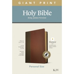 KJV Personal Size Giant...