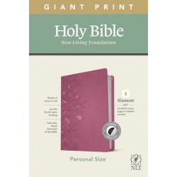 NLT Personal Size Giant...