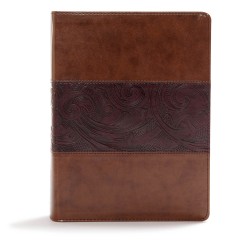 CSB Study Bible-Mahogany...