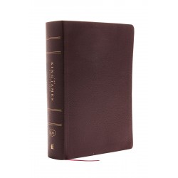 KJV Study Bible...