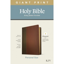 KJV Personal Size Giant...