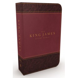 KJV Study Bible...