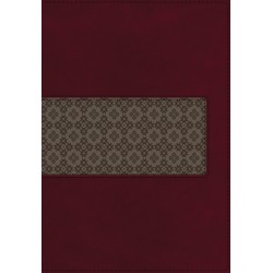 KJV King James Study Bible...