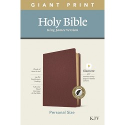 KJV Personal Size Giant...