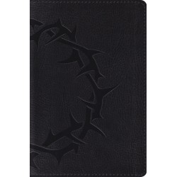 ESV Compact Bible-Charcoal...
