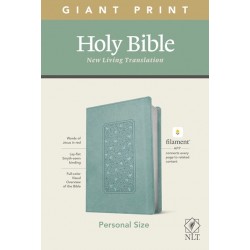 NLT Personal Size Giant...