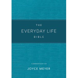 Amplified New Everyday Life...