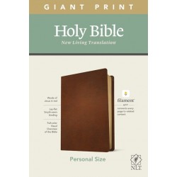 NLT Personal Size Giant...