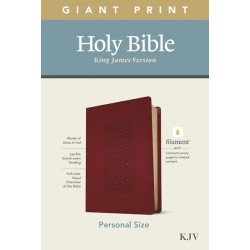 KJV Personal Size Giant...