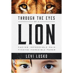 Through The Eyes Of A Lion