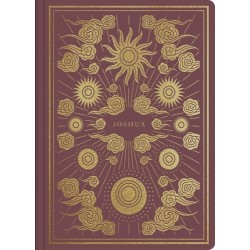 ESV Illuminated Scripture...