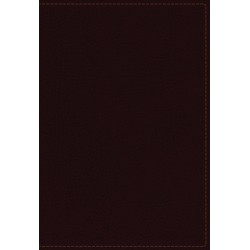 NKJV Study Bible...