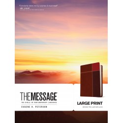 Message/Large Print Bible...