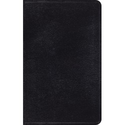 ESV Thinline Bible-Black...