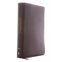 NIV Maxwell Leadership...