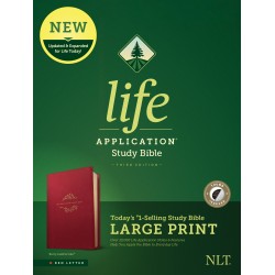 NLT Life Application Study...