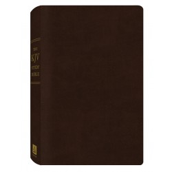 KJV Study Bible-Burgundy...