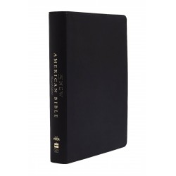 NABRE New American Bible...
