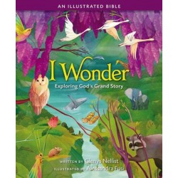 I Wonder: Exploring God's...
