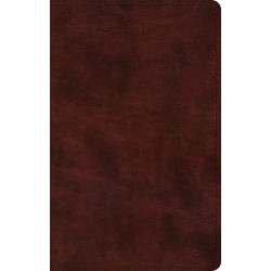 ESV Large Print Thinline...