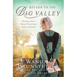 The Return To The Big Valley