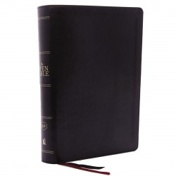 KJV Open Bible (Comfort...