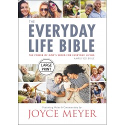 Amplified Everyday Life...