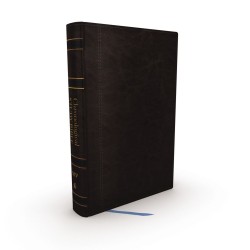 NIV Chronological Study...