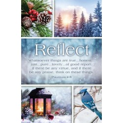Bulletin-Reflect...