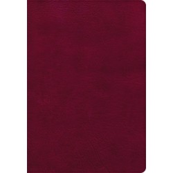 NASB Super Giant Print...