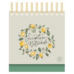 CSB Scripture Notecards...