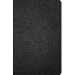 NASB Large Print Personal...