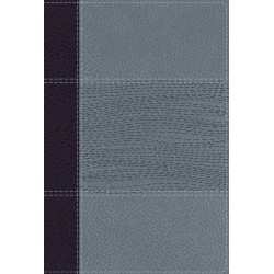 NIV Study Bible/Personal...