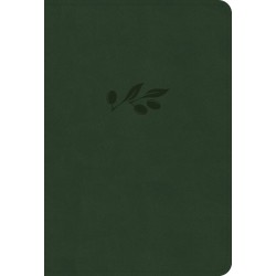 NASB 2020 Large Print...