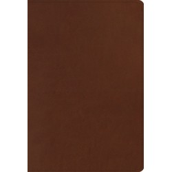 ESV Men's Study Bible-Brown...