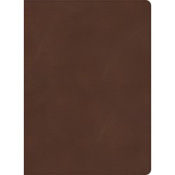 KJV Single-Column...