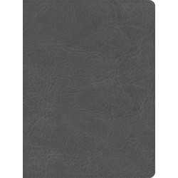 CSB He Reads Truth...