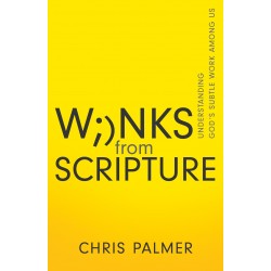 Winks From Scripture