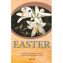 Bulletin-Ye Seek Jesus Of...