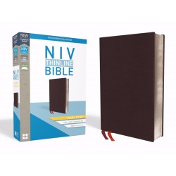 NIV Thinline Bible/Giant...