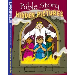 Bible Story Hidden Pictures