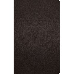 ESV Thinline Bible-Deep...