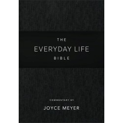 Amplified The Everyday Life...